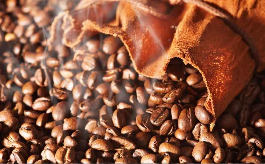 Mau Pilih Beans untuk Cafe Anda? Ini Perbedaan Jenis Kopi Robusta dan Arabika