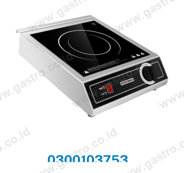 Primo Induc Series Electric & Induction Cooking Range