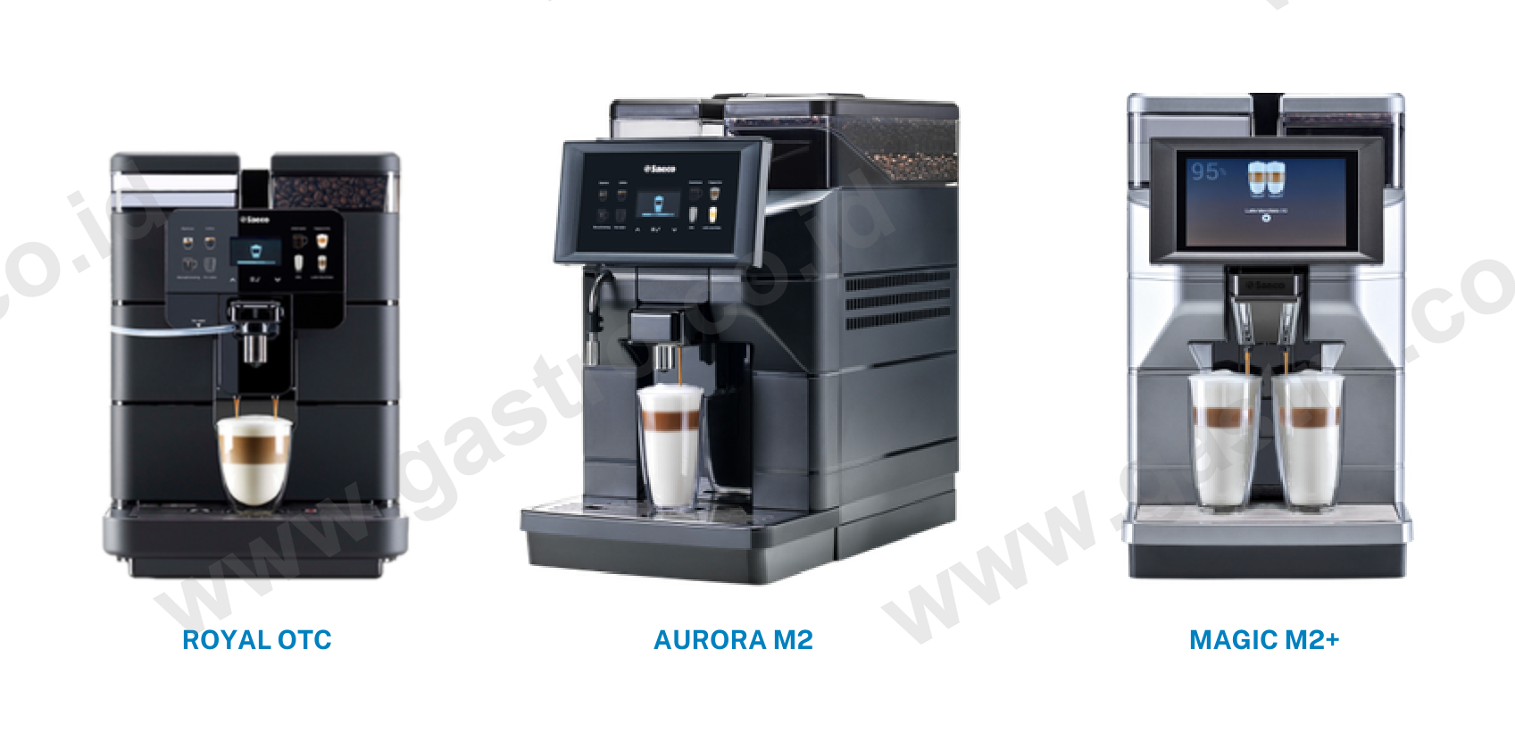 Saeco Fully Automatic Coffee Machine