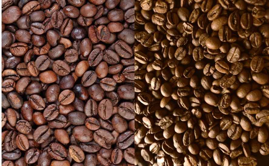 Perbedaan Robusta dan Arabika